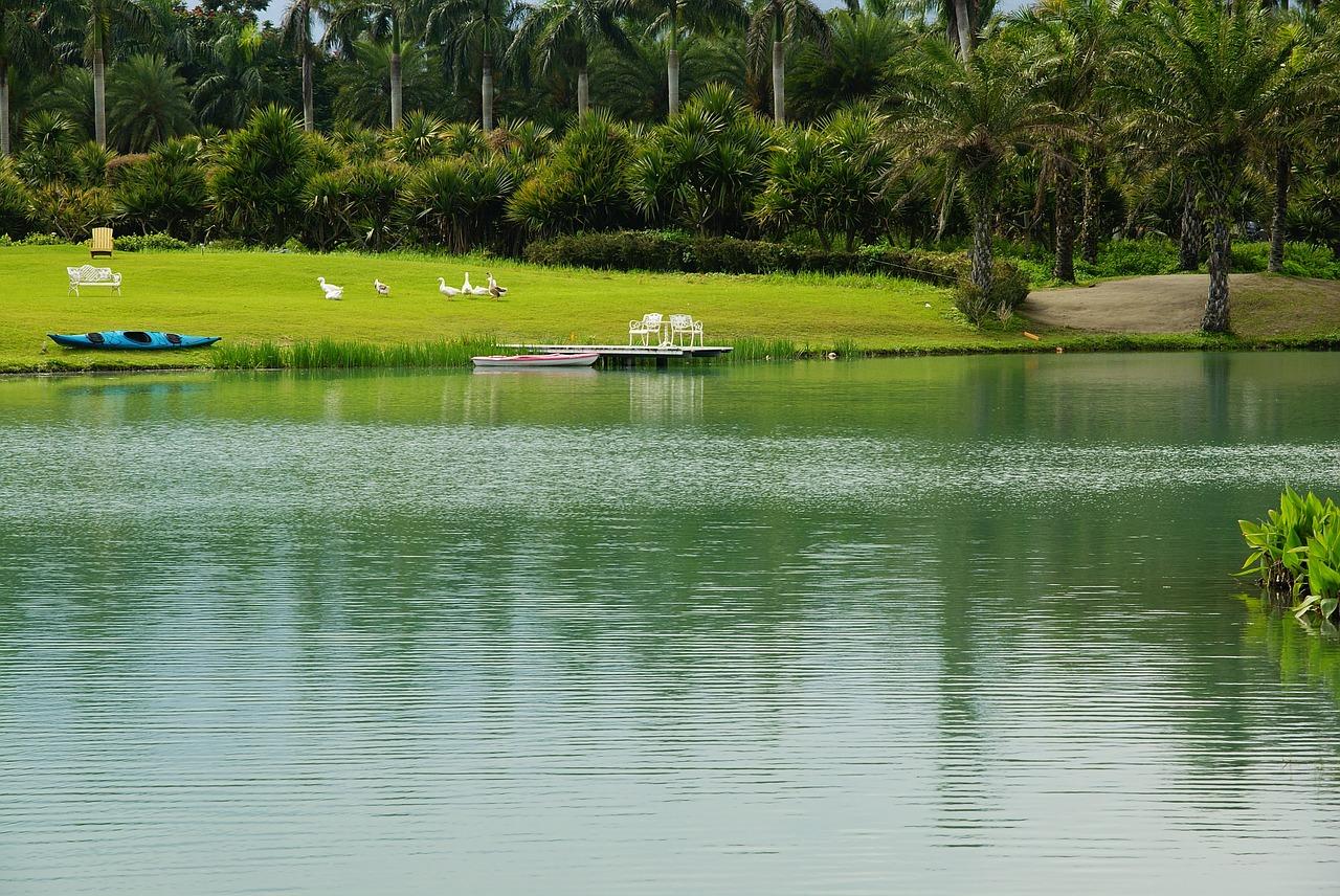 台东城市有什么