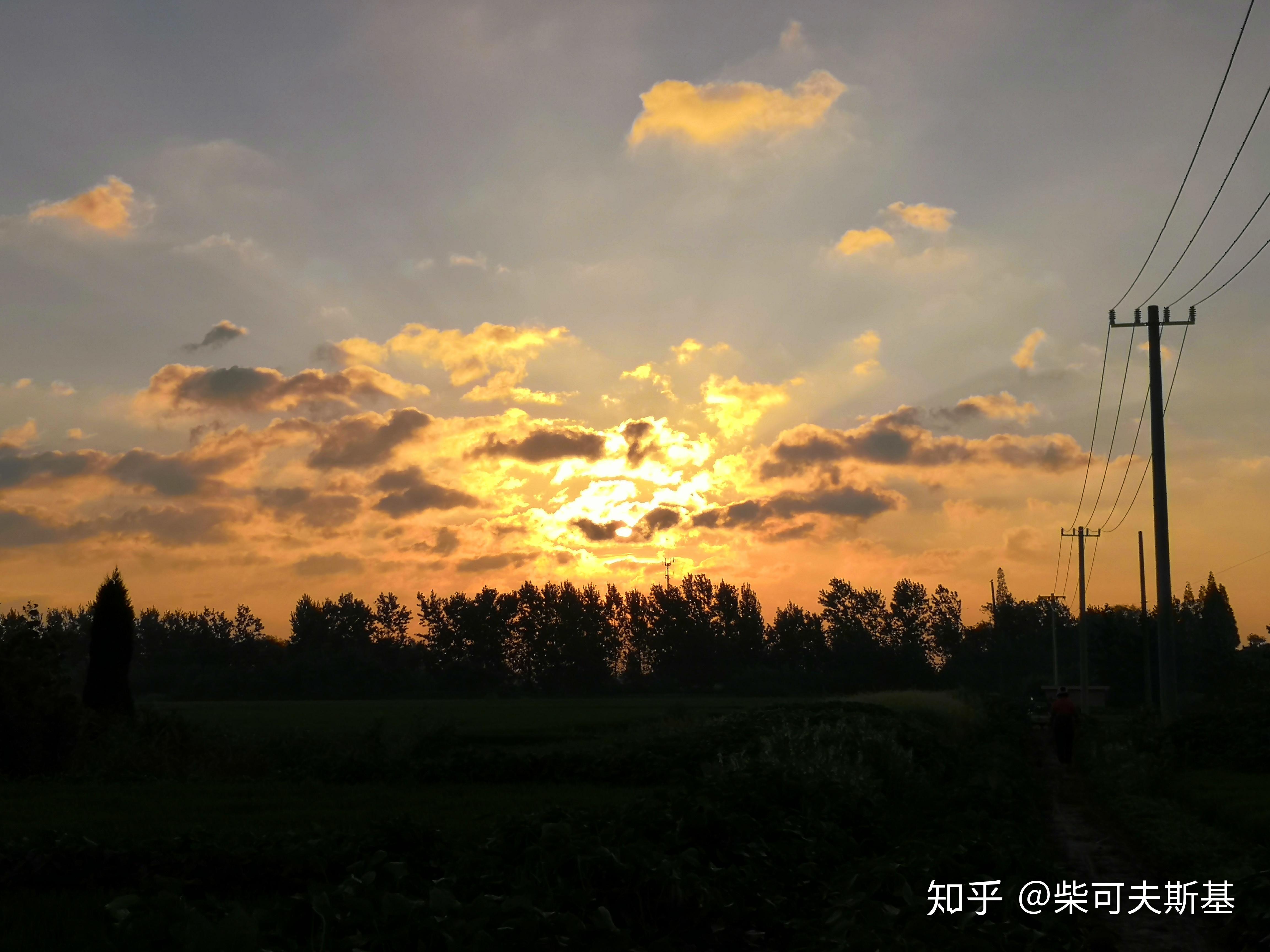 2019年你拍得最好的一张照片是什么它又有什么故事呢