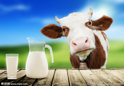 长期喝全脂牛奶,会容易发胖吗?