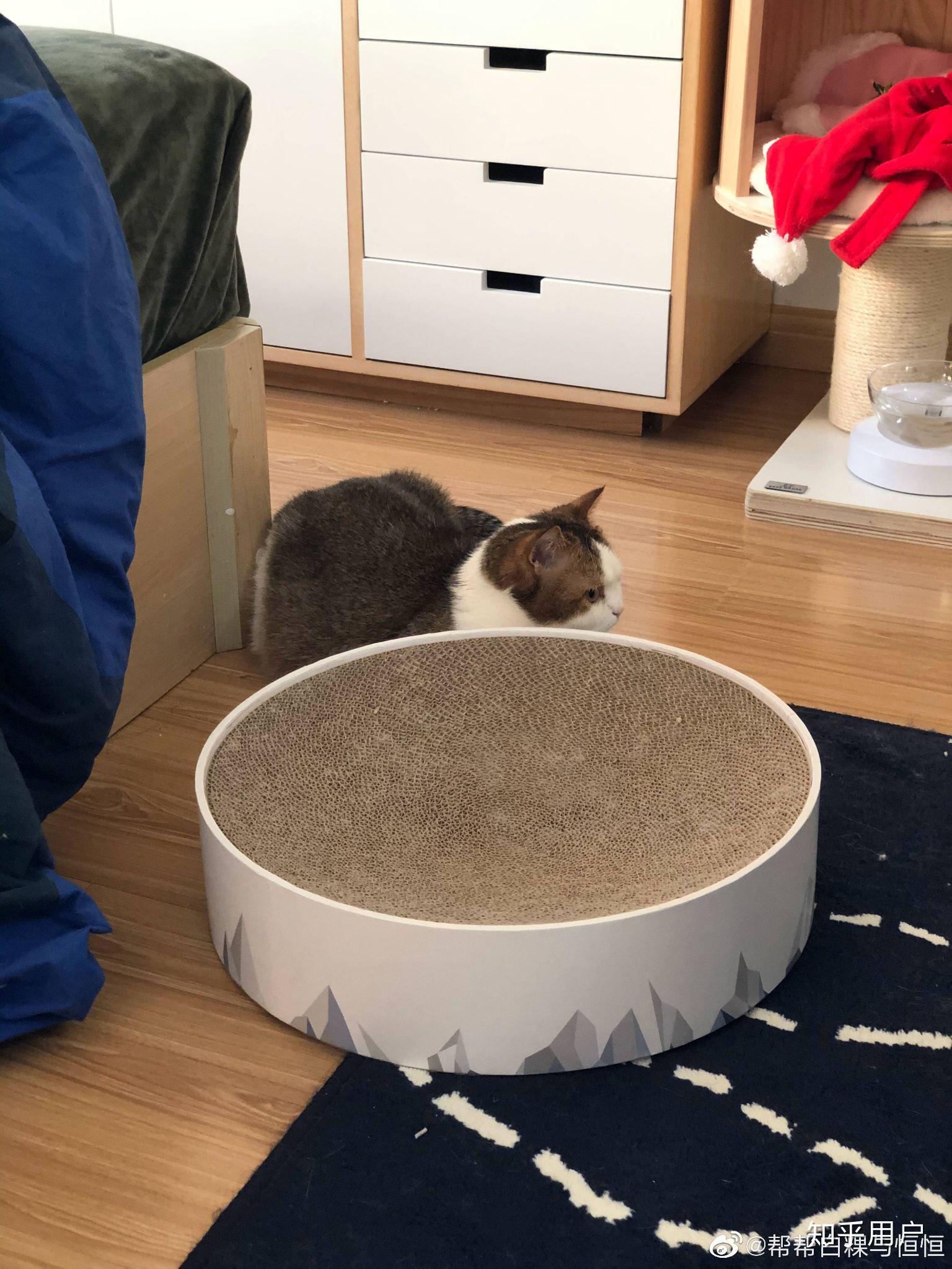 怎么才能泡到kb呆又呆? - 知乎