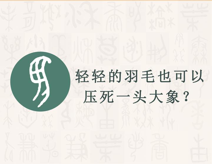 汉字的字元 鸟兽动物 羽 知乎