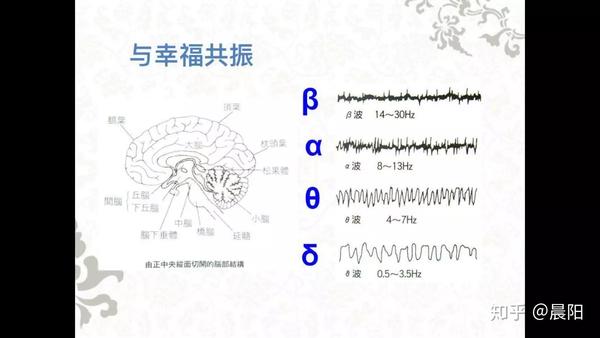 四种脑波图片