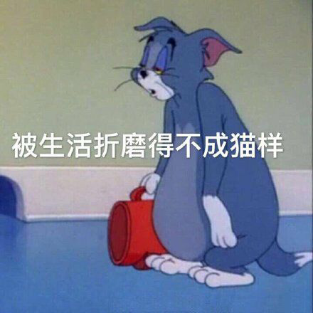 猛男推车沙雕文案,猛男推车沙雕文案短句