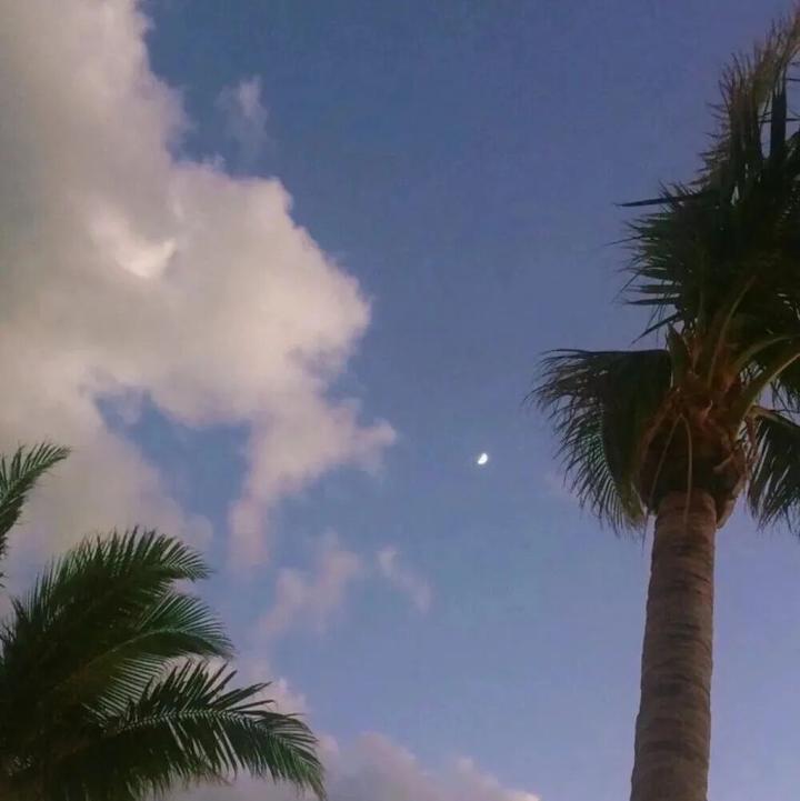 哈哈宇宙世界人类人生哈哈哈可笑