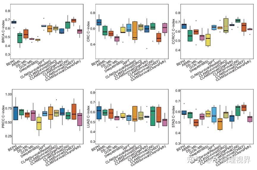 AI病理文摘 | Nature Communications: 中国学者发表BEPH病理学大模型, 一探究竟 - 知乎