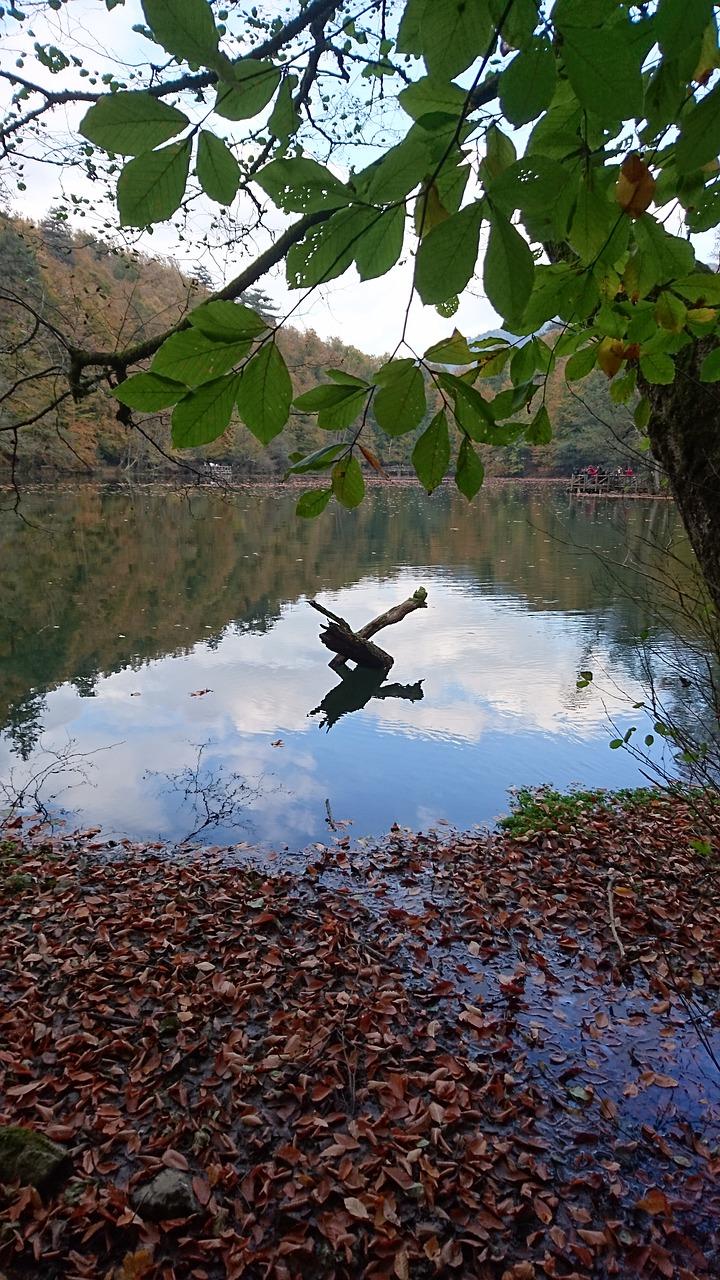 湖畔生态宜居区