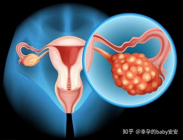 怎么样才能快速长卵泡 v2-5536ab0680bcc5e896173432beb5e920_r.jpg