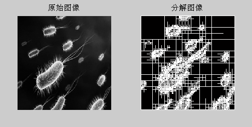 图像分割研究现状图片