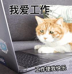 疯狂系列最差篇宁浩用一个外星人终结了自己的独特