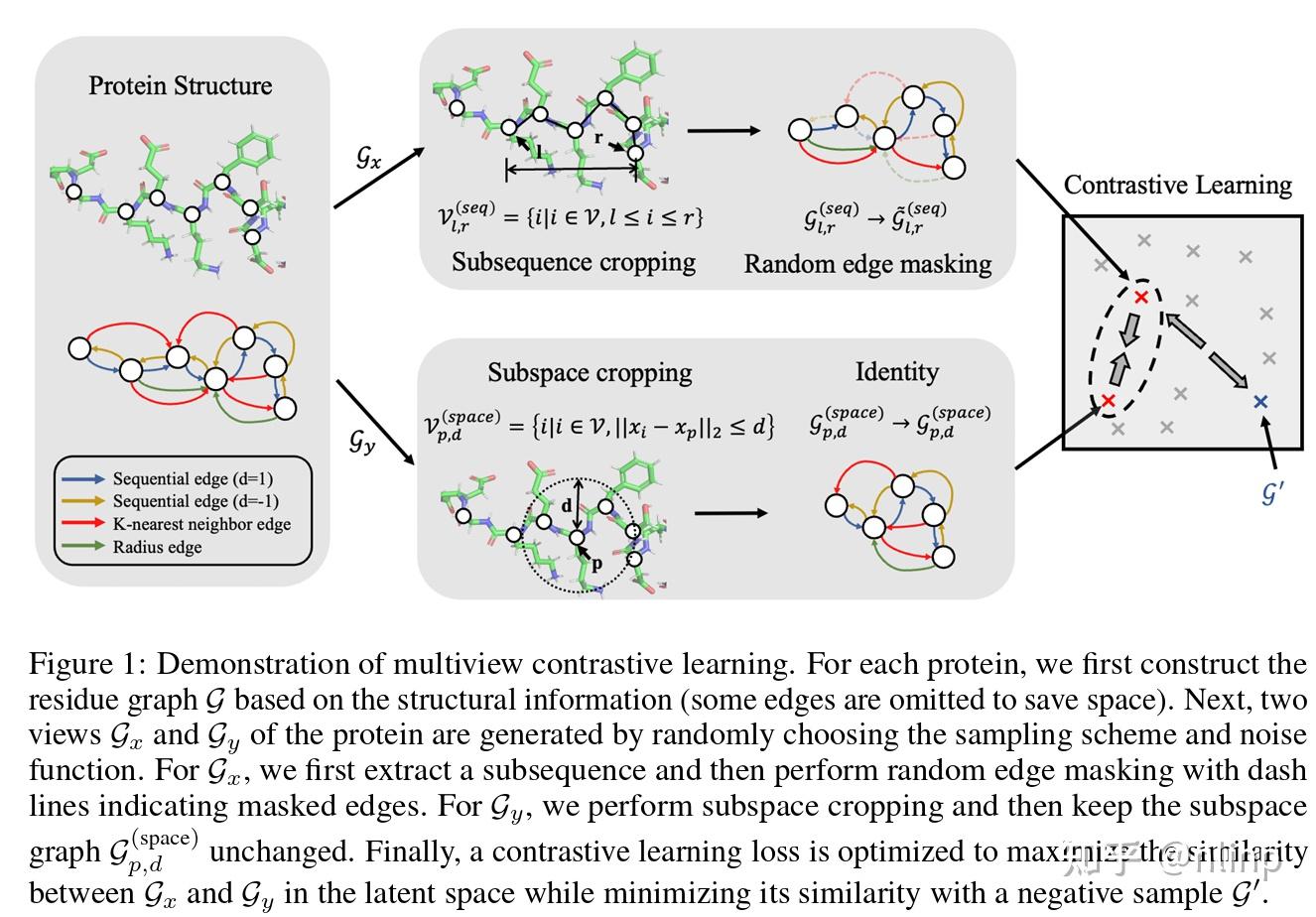 《Protein Representation Learning by Geometric Structure Pretraining》阅读