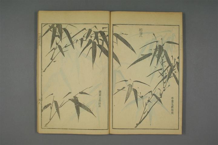 康熙40年芥子园画传 竹谱册上 国画竹子美术资料绘画素材图片保存第十二组 - 知乎