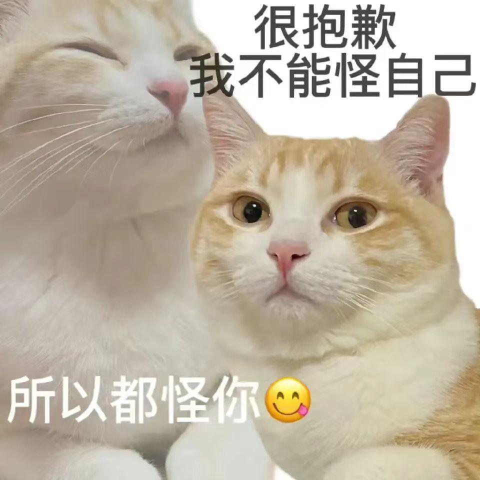蒹葭风吟