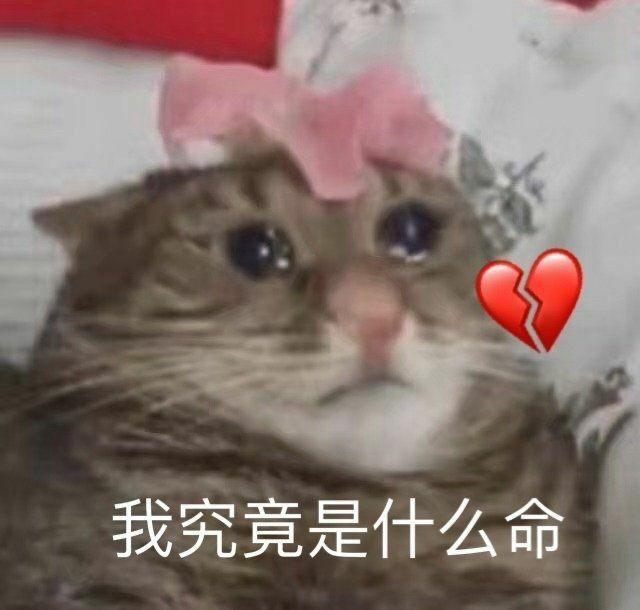 思考文案沙雕,思考文案沙雕搞笑