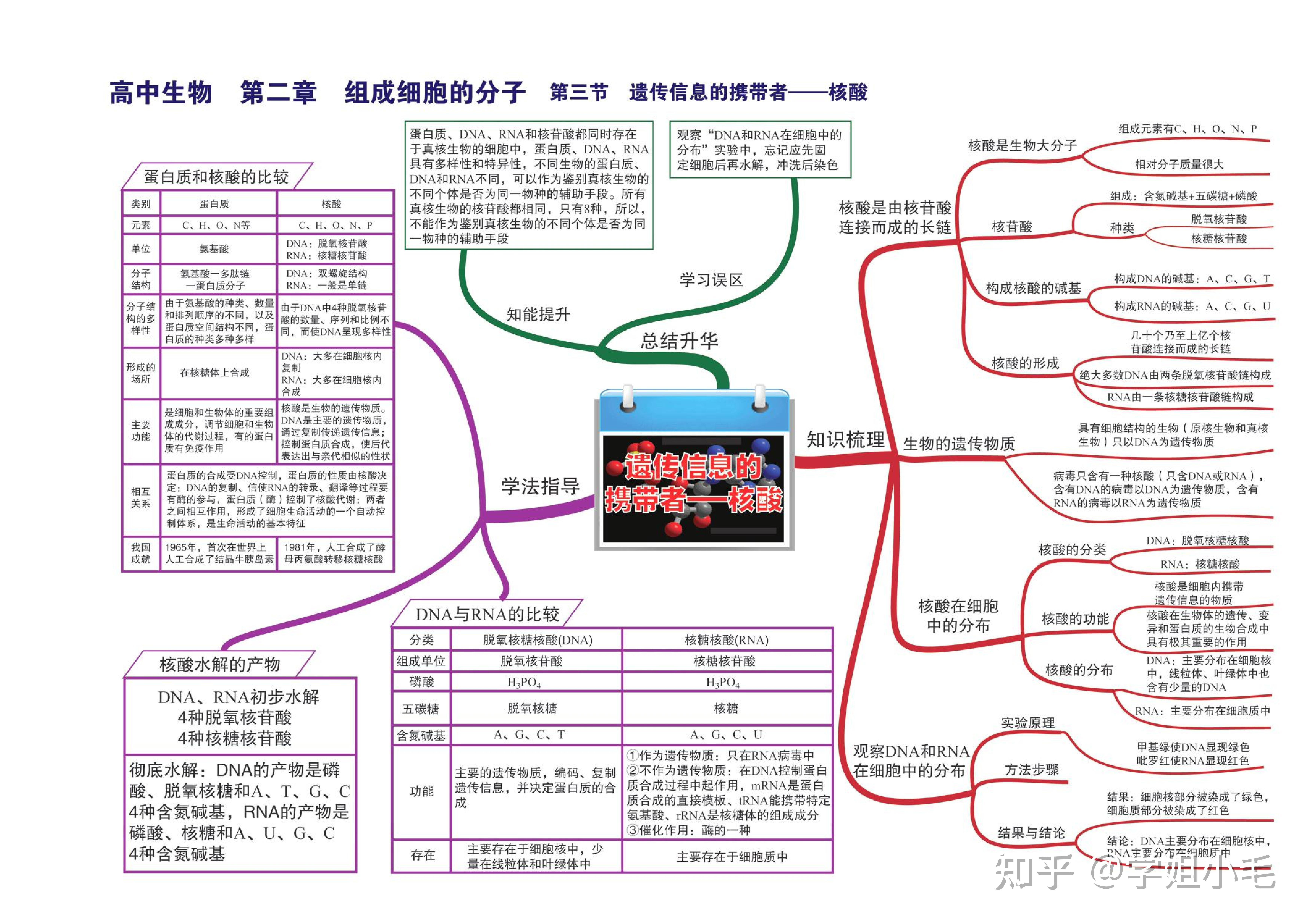 生物选修二详细思维图图片