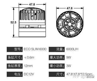 养短鲷的缸_短鲷缸底泥_短鲷缸水体