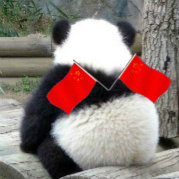 Zhihu profile picture for @panda