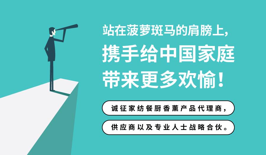 菠萝斑马家庭装饰画的9个冷门购买渠道从10元到10万都有
