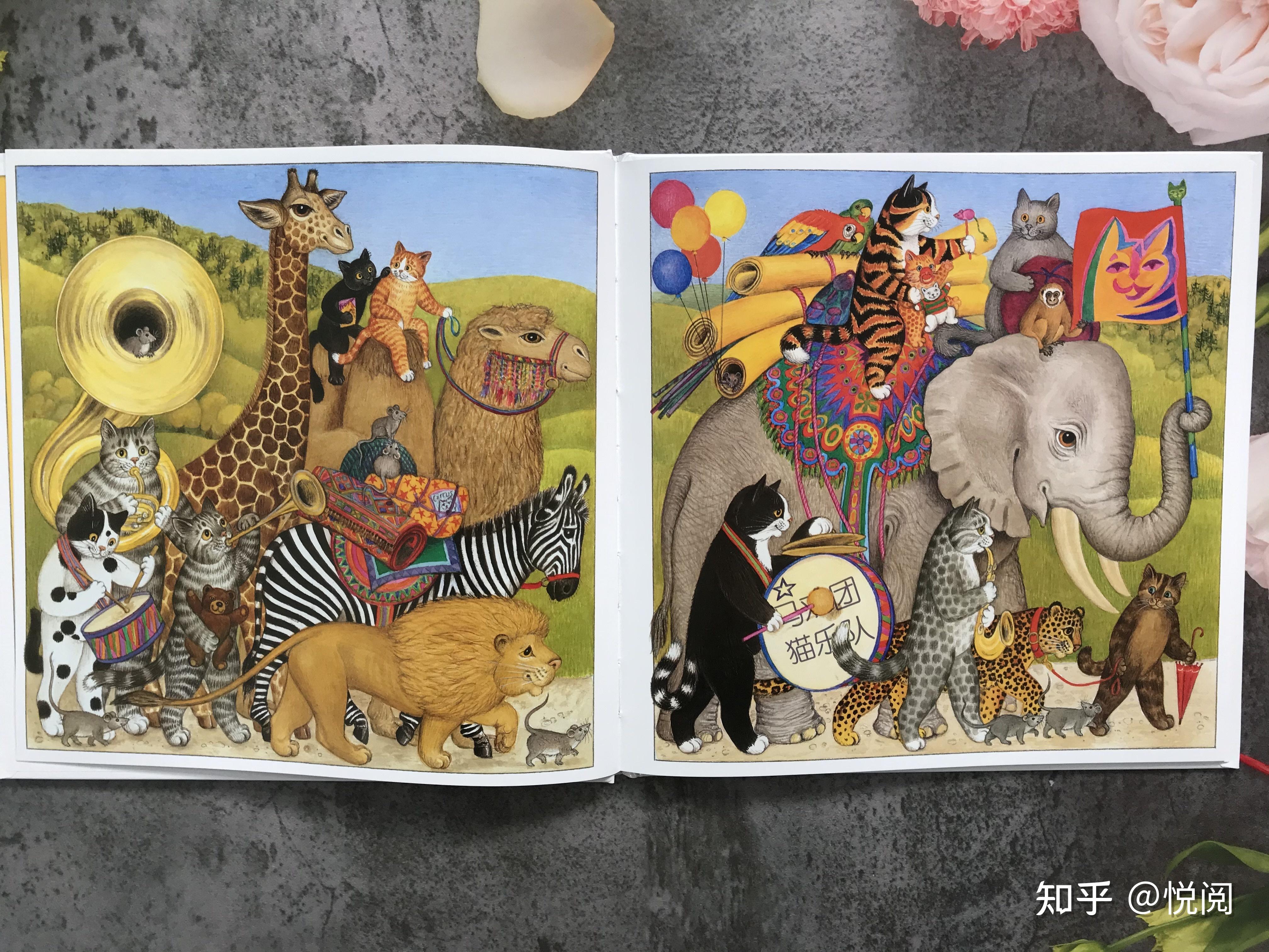 一起读绘本即将绝版非常治愈无字图画书猫