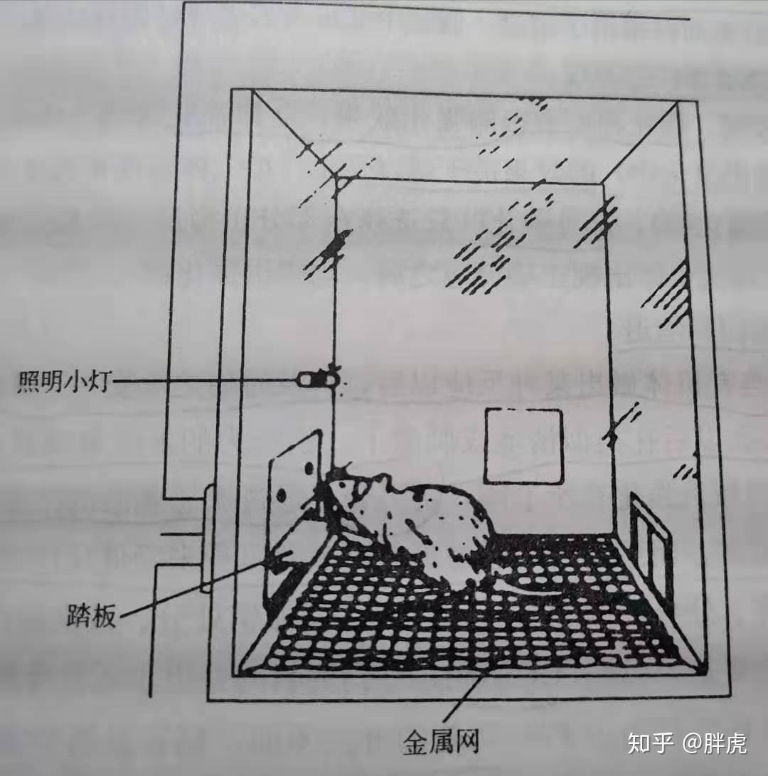 馴獸大師斯金納