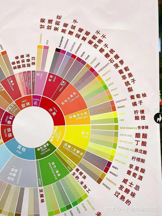 咖啡里的风味物质是真实存在的吗