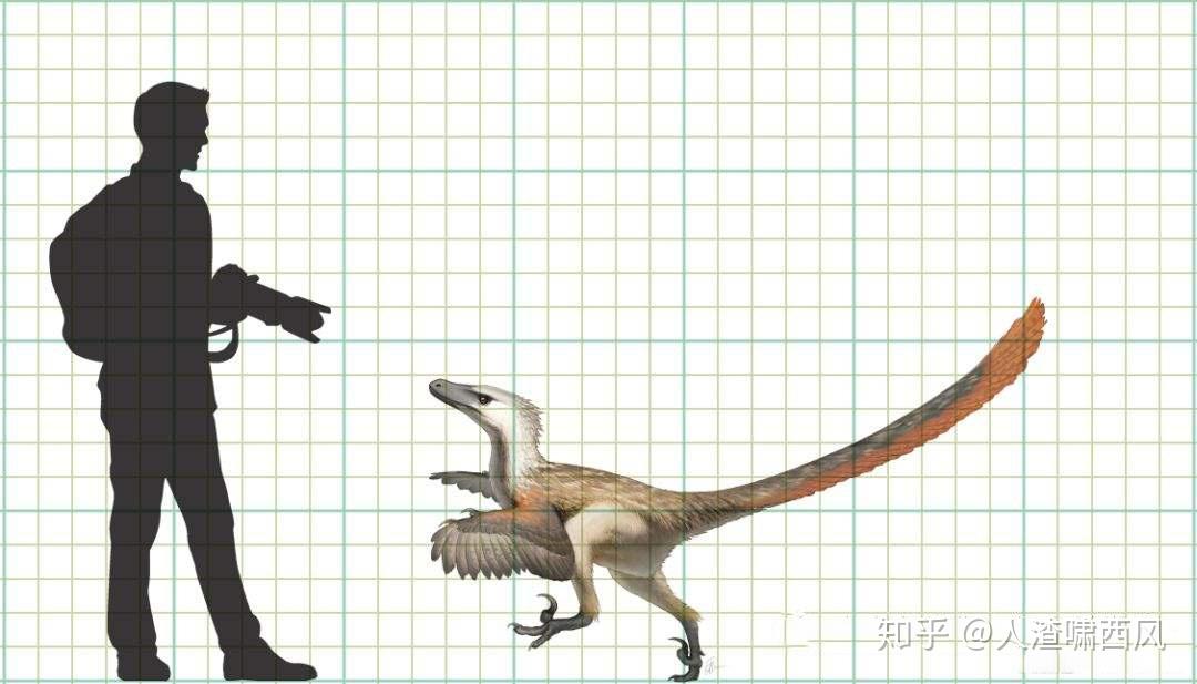 全身具装的人渣啸西风能打过几只迅猛龙?