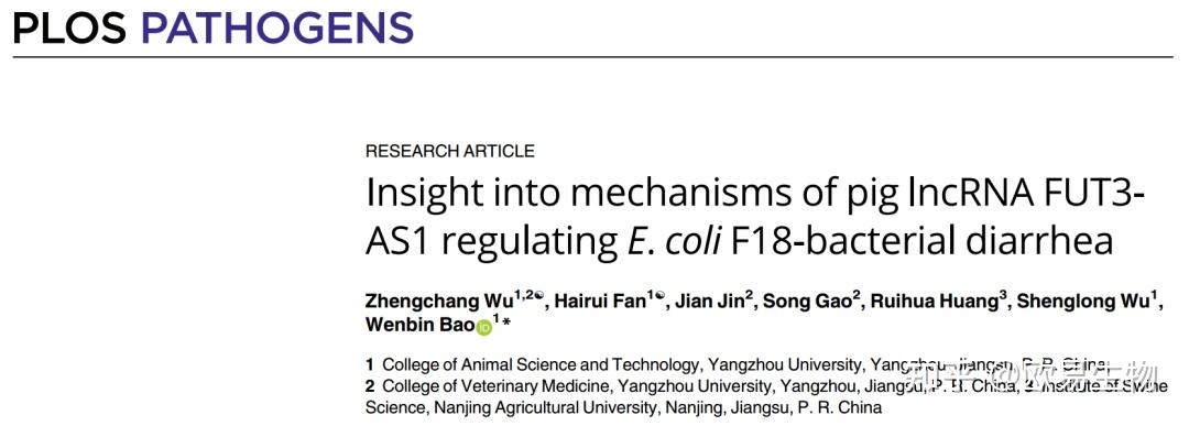 扬州大学动物科学与技术学院包文斌教授为通讯作者,在国际病原学权威