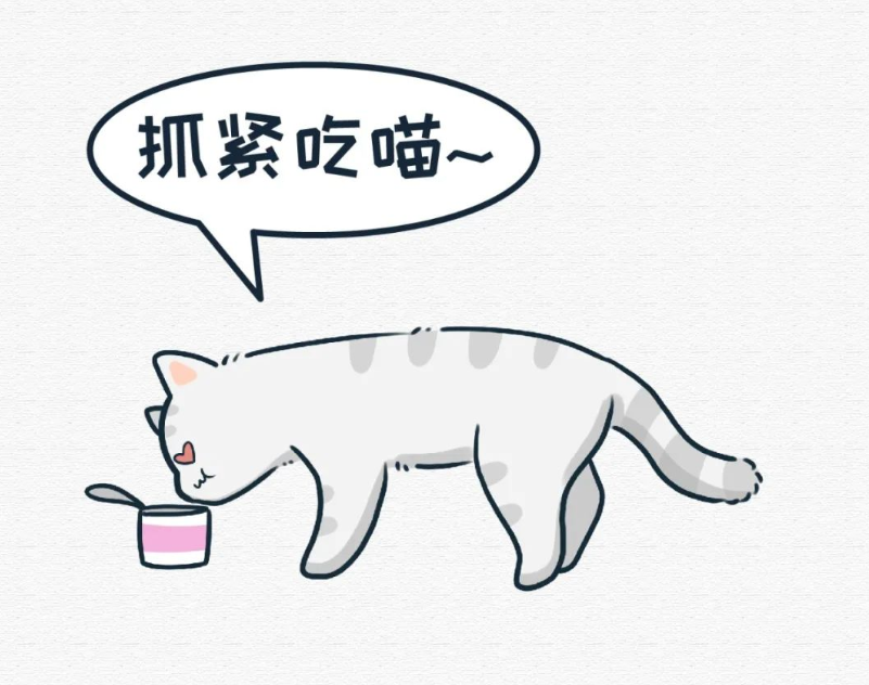 简简单单的宠粮保存小妙招我不允许你不知道