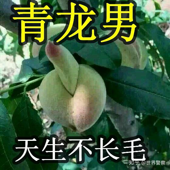 青龙男是什么意思? - 知乎