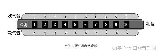 十孔口琴入门教程 - 知乎