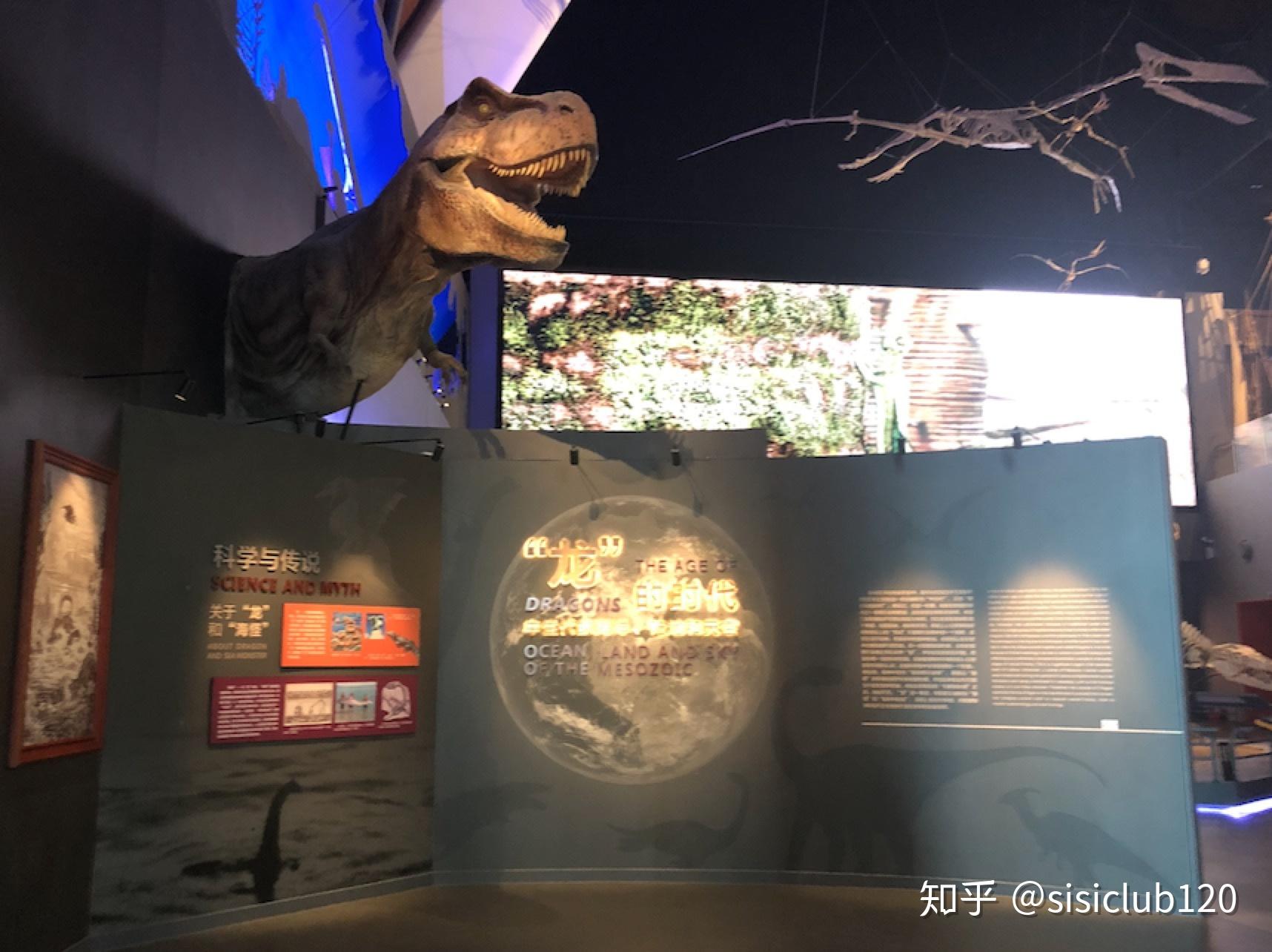 海上故宫—国家海洋博物馆探秘之旅 - 知乎