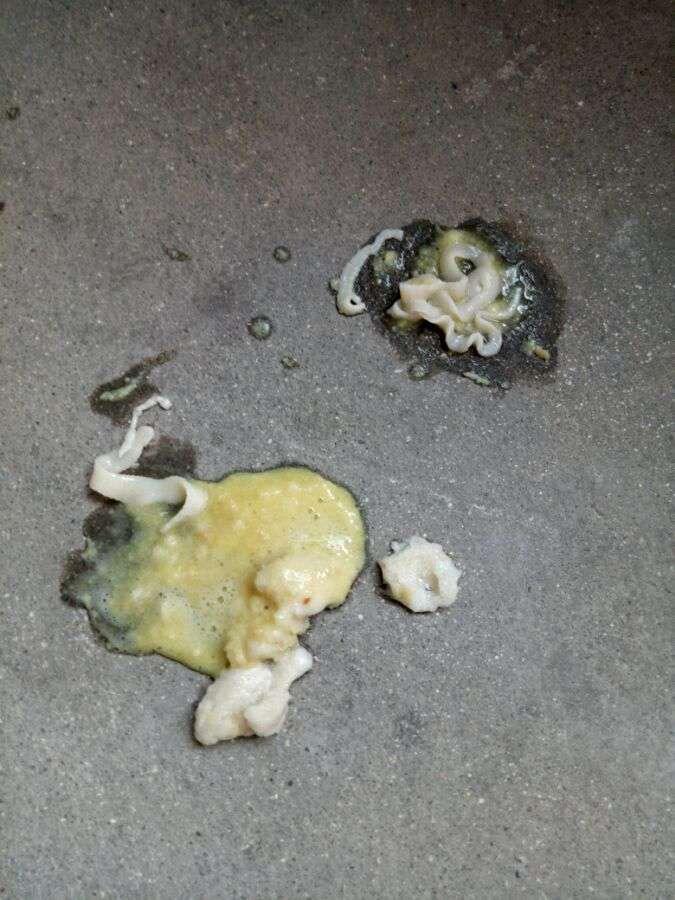 床上出现像蛆像面条一样的白色软体虫子 是什么?