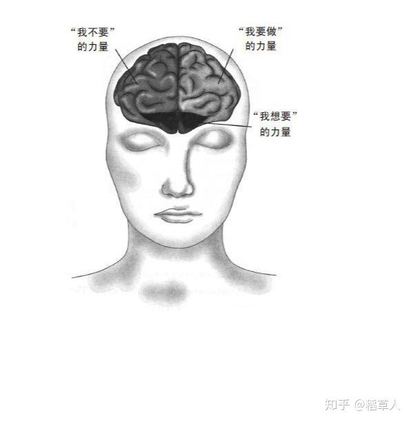 什么是意志力 - 知乎