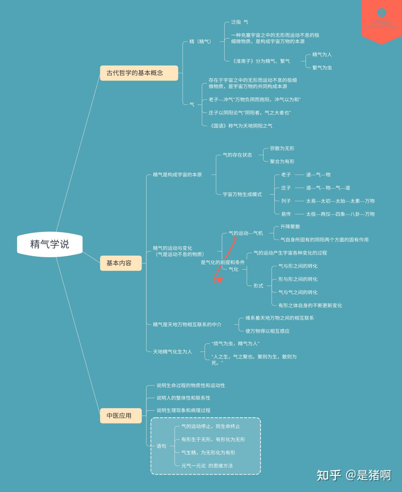 中医基础理论思维导图