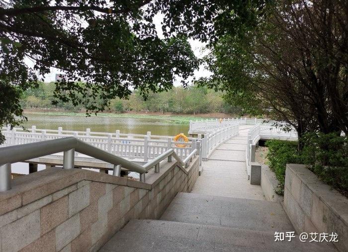 凤山公园城市中的一抹美景