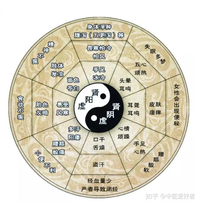 中医养肾 - 知乎