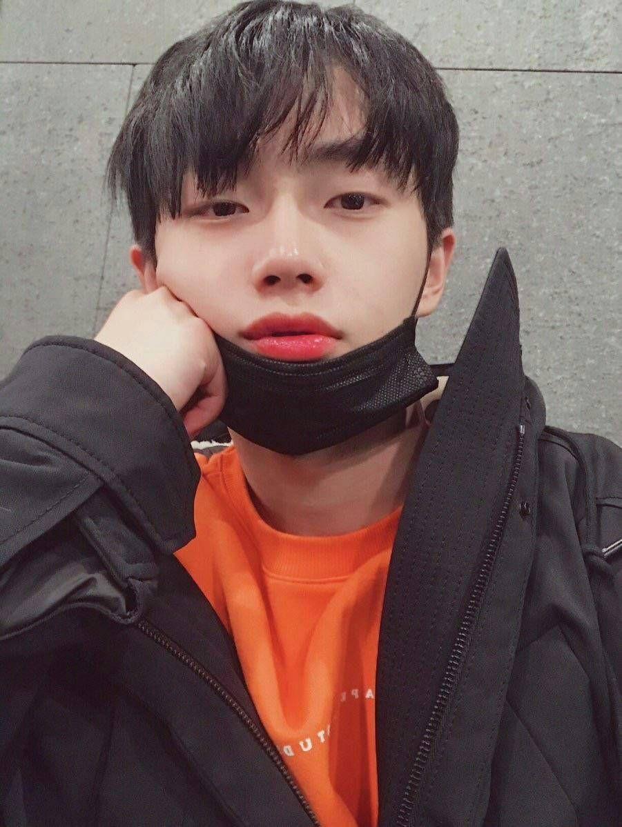 求jbj金相均的图片! - 知乎