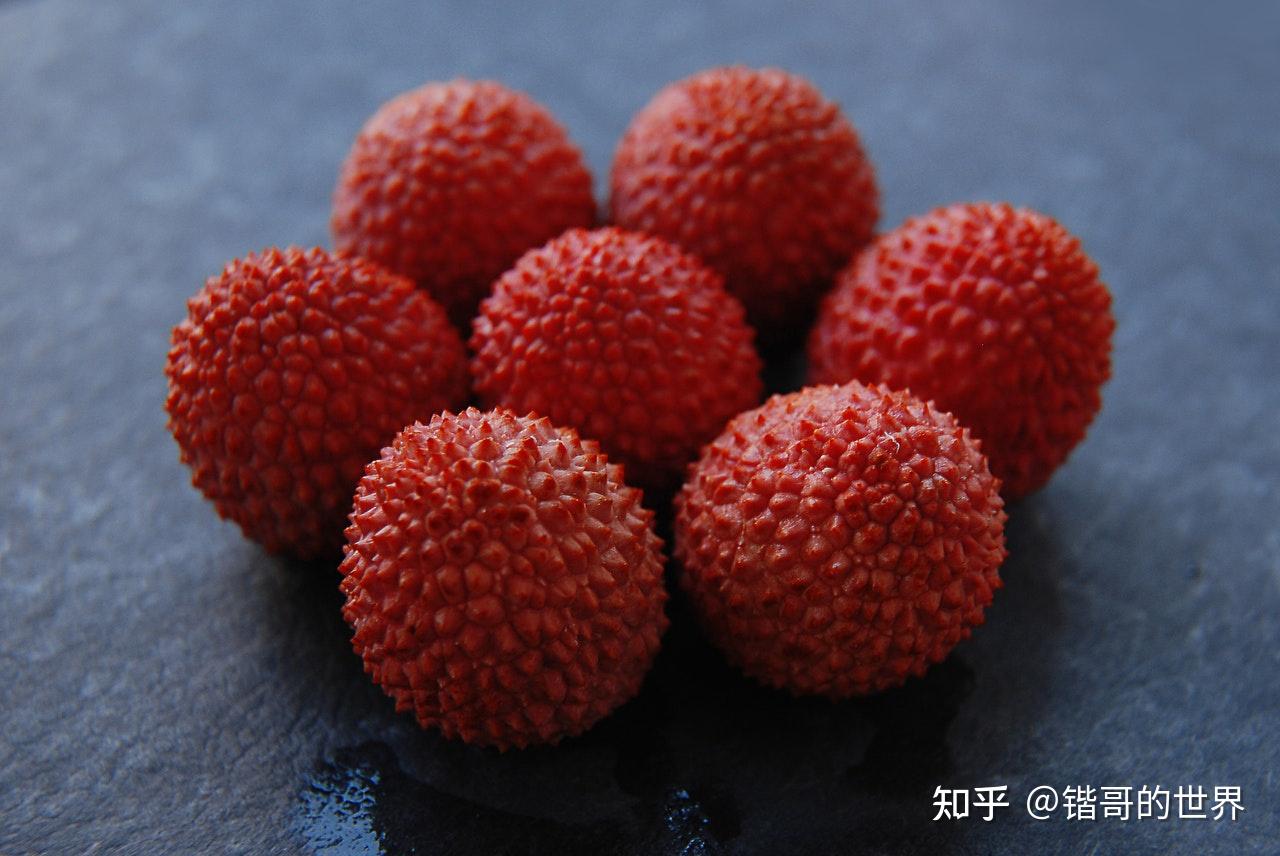 一颗荔枝,勾勒大唐盛世末期的“荒诞”!古代“快递”到底有多快? - 知乎