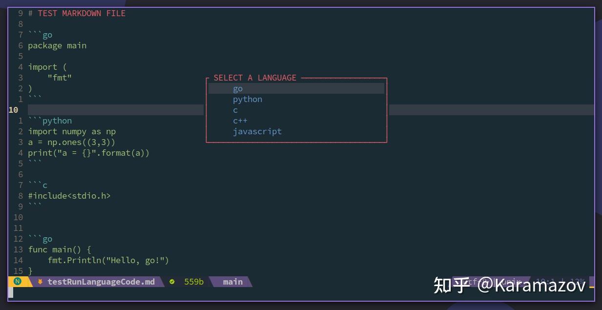 大家开发用的是vim还是neovim? - 知乎