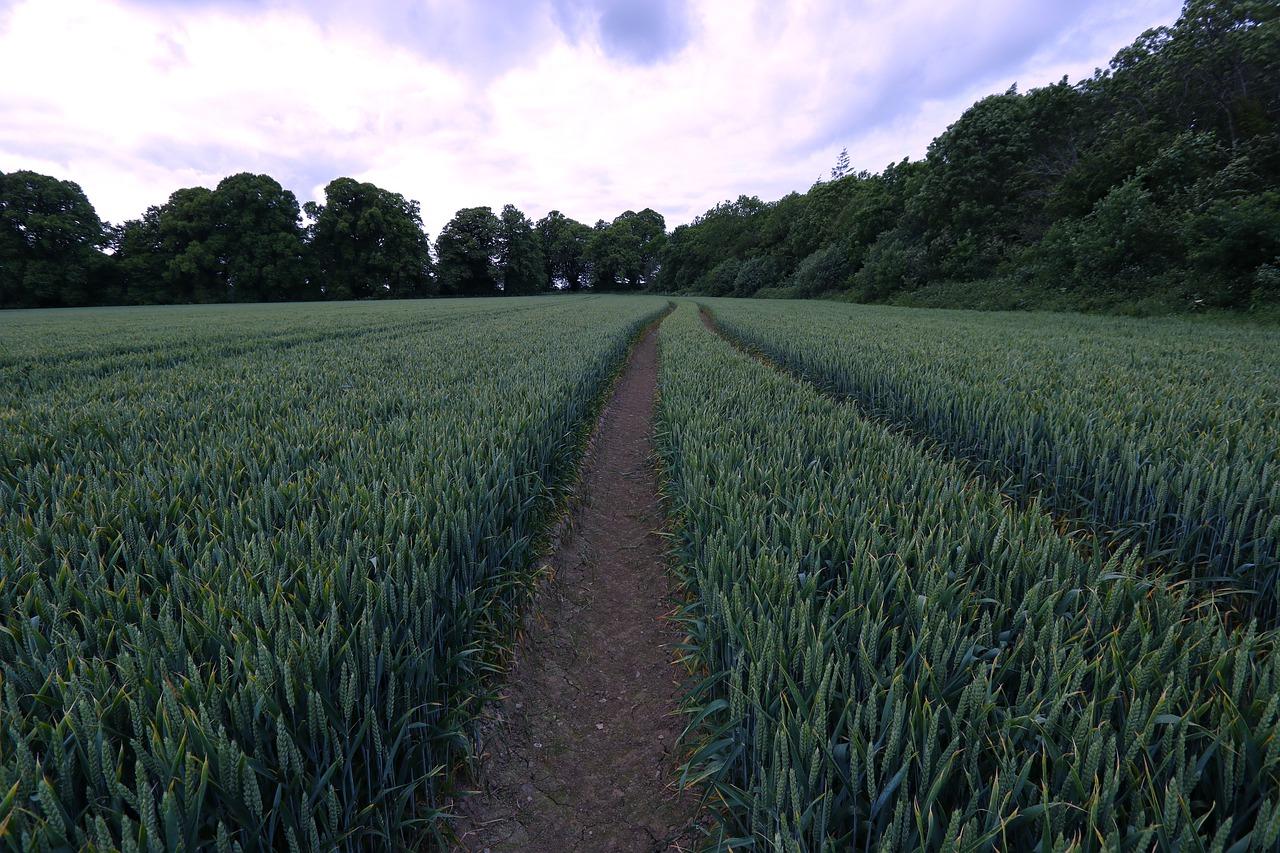 什么是土地收储价