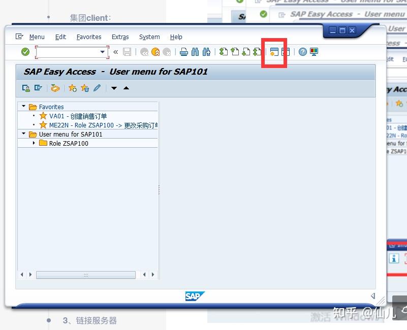 Sap 