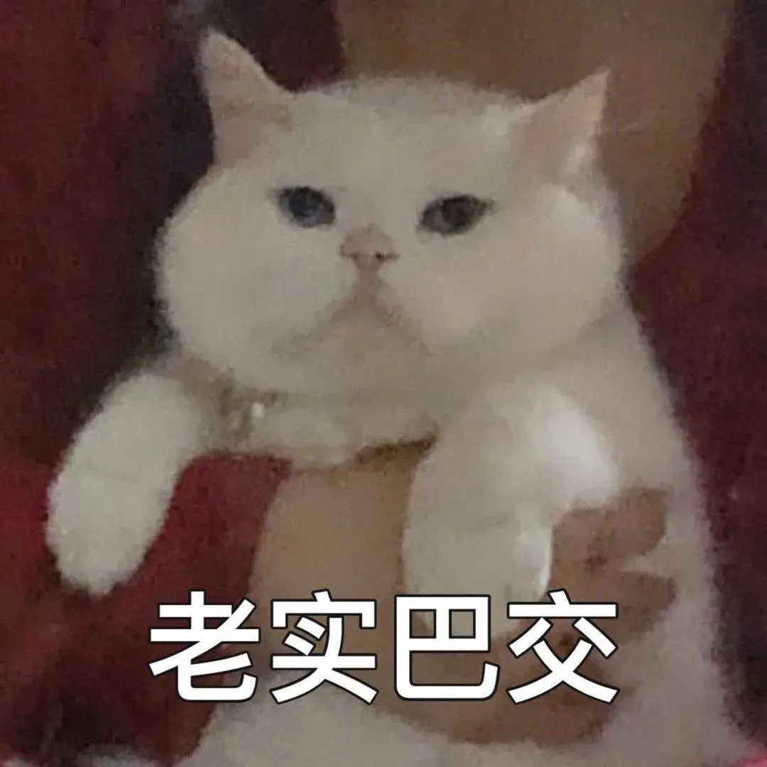 108张聊天必备的万能表情包