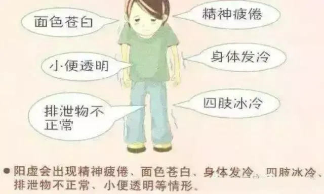 飞机打多了肾虚怎么调理知乎(“飞机打多了肾虚可以自愈吗”)