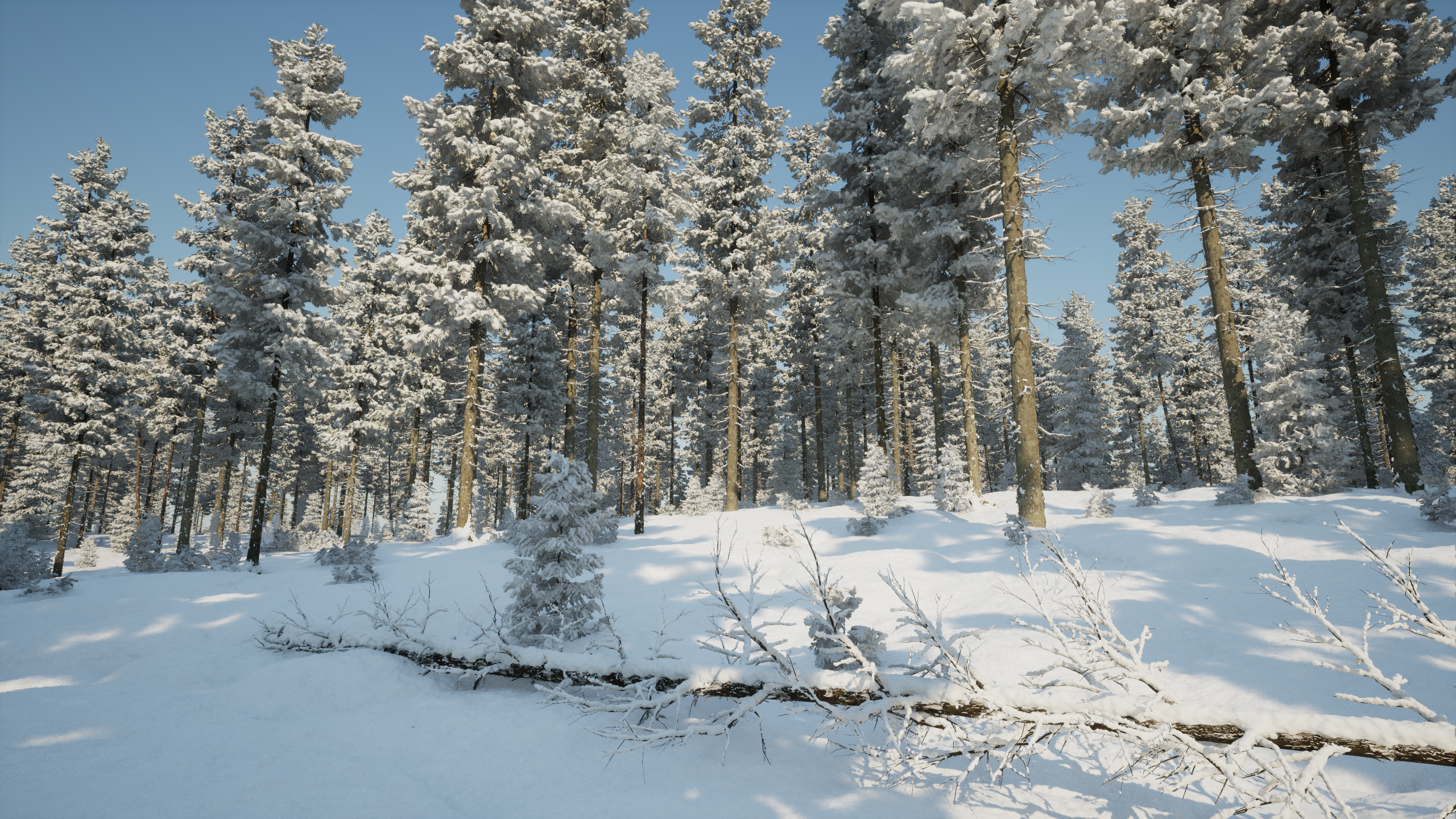 [官方直播预告] 第45期 | ue5 nanite森林雪景制作经验分享