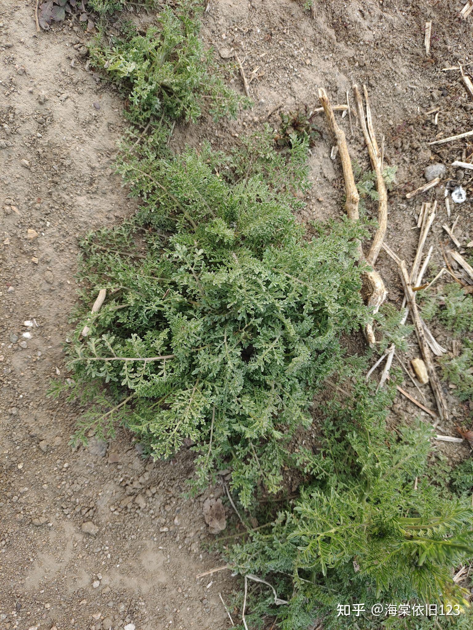 个纸箱里,铺着我的加热盐袋,垫着毛巾,还给它盖了一块毛巾和一个被单