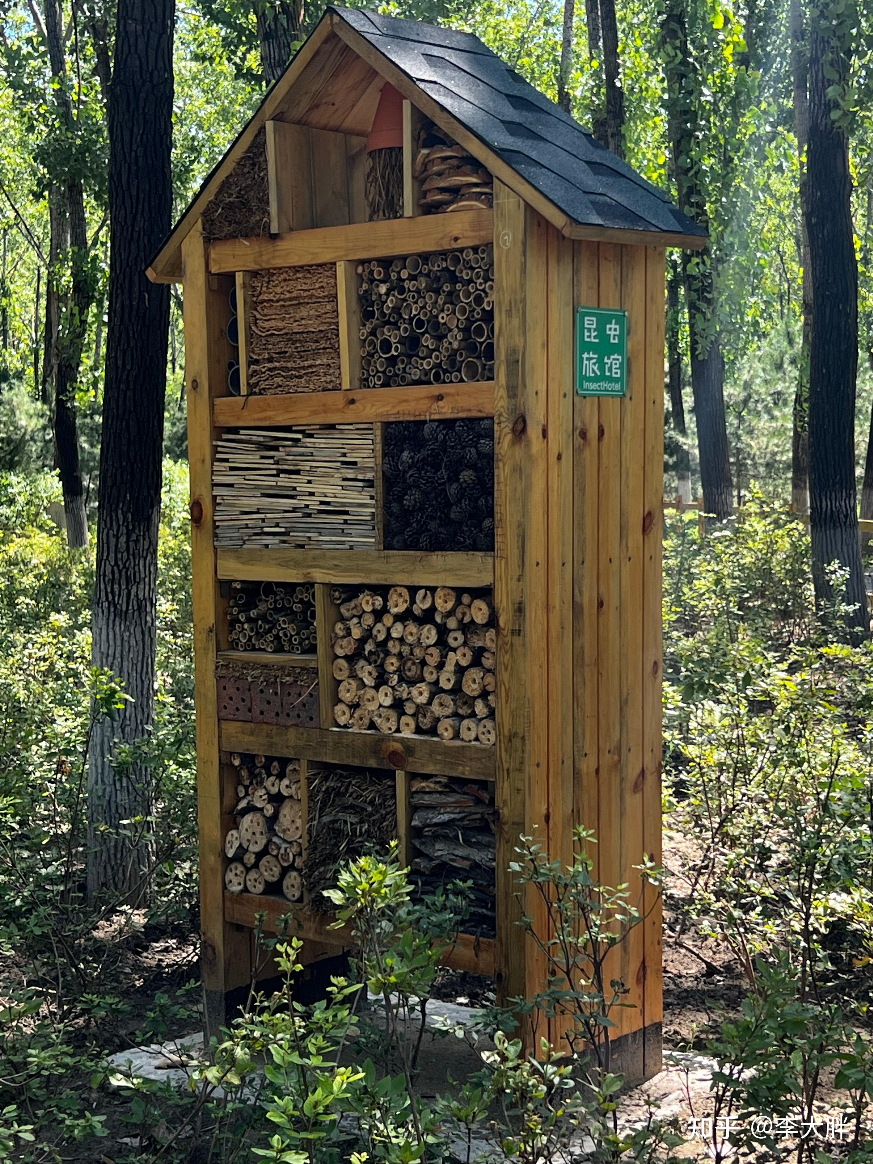 昆虫旅馆