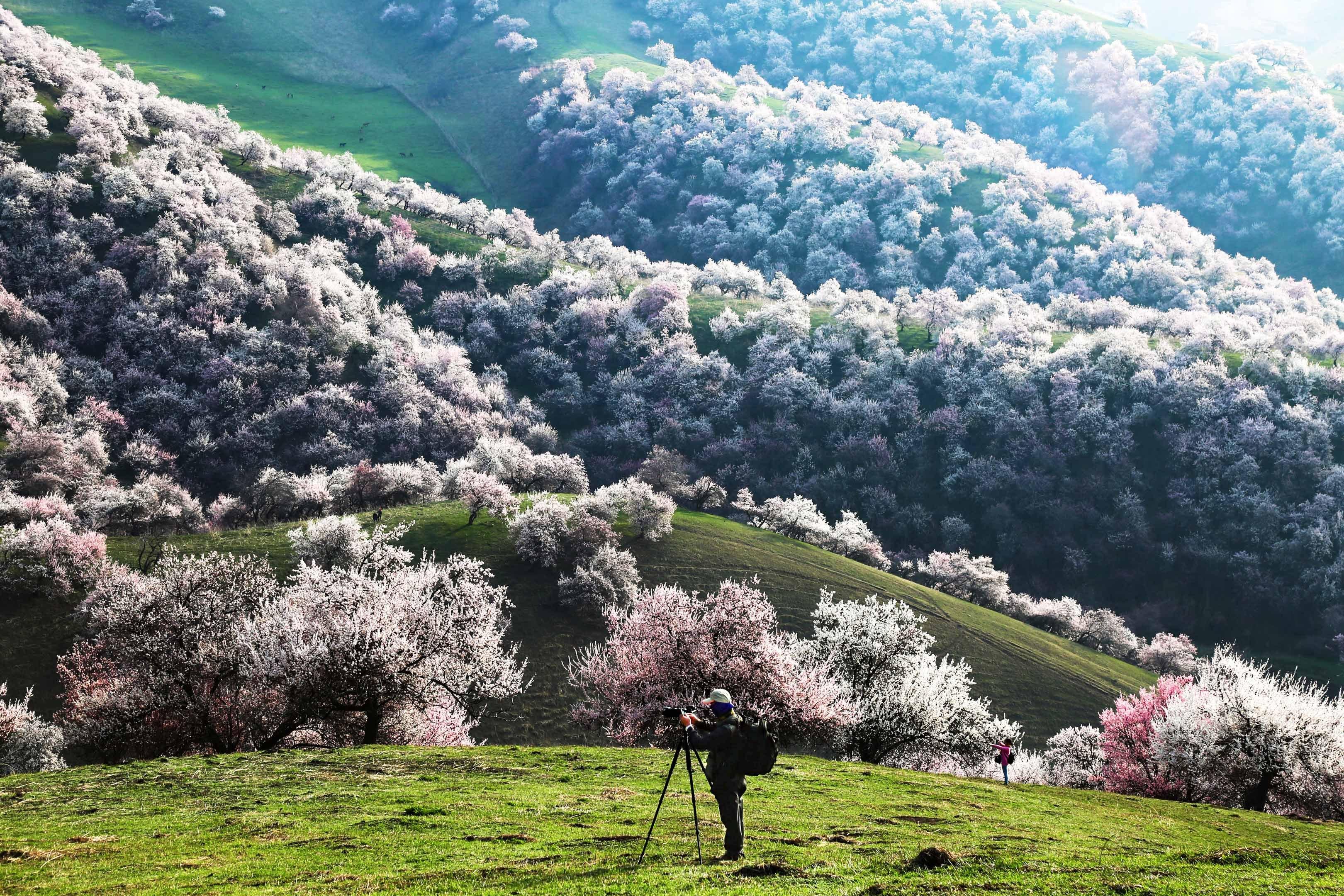 天山的秘密四月新疆马背旅行遇见最美杏花沟