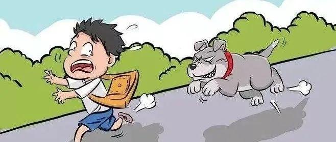 资深怕狗人士,整理了这些遇到狗的应对方法 - 知乎
