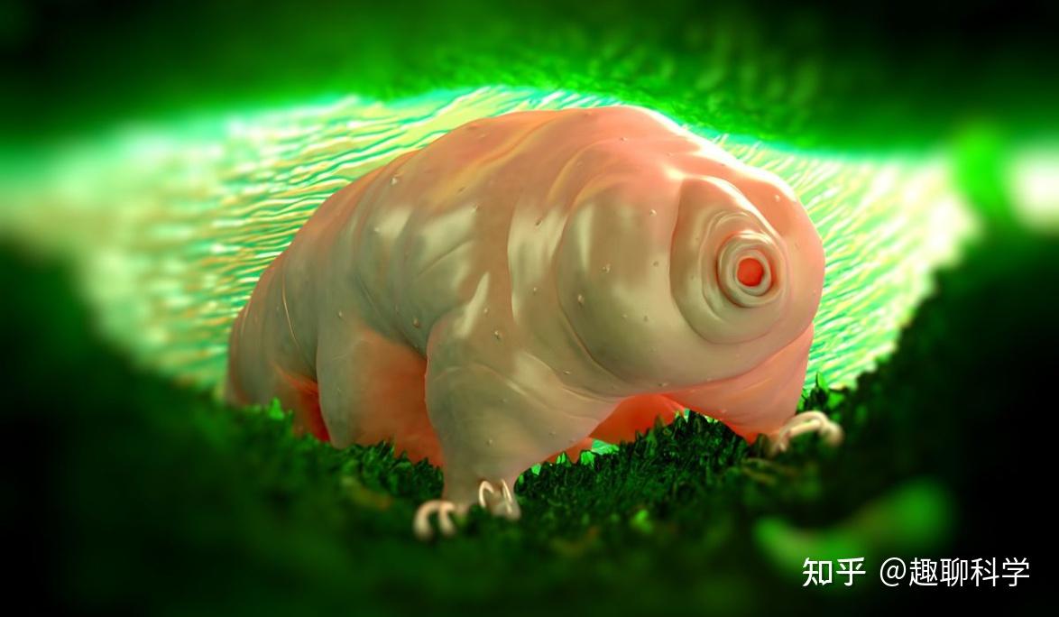 同样裸露在太空人类仅存活15秒水熊虫淡定产崽为何这么强