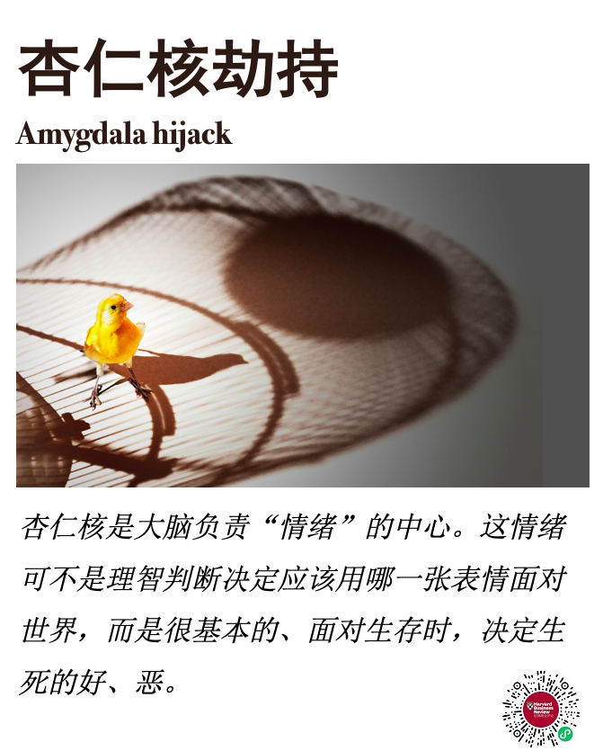 杏仁核劫持 / Amygdala Hijack - 知乎