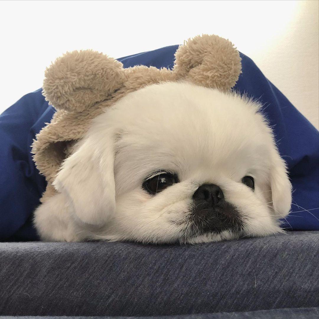 有没有珍藏的qq头像